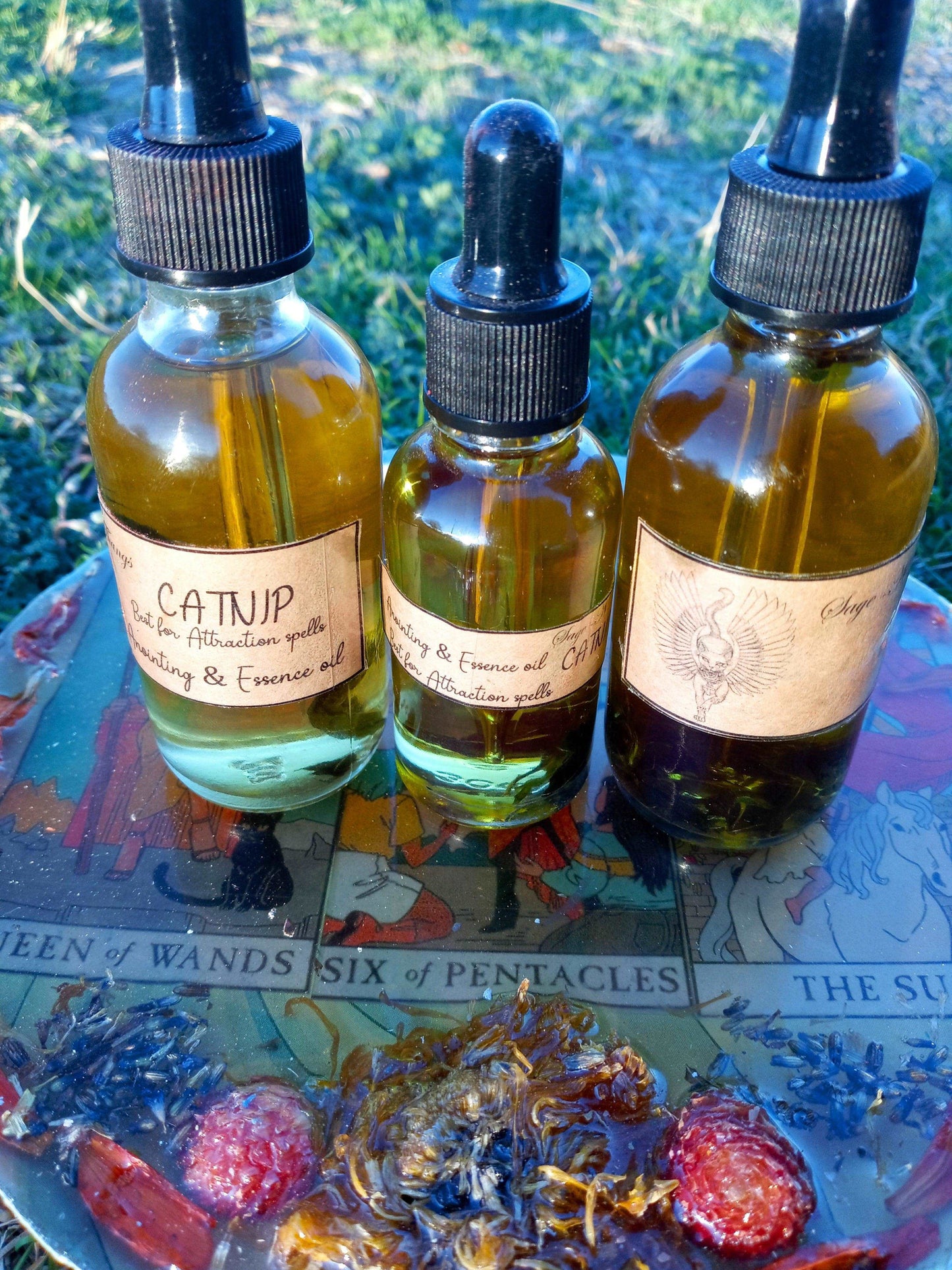 Catnip Attraction Oil - Sage N Thangs