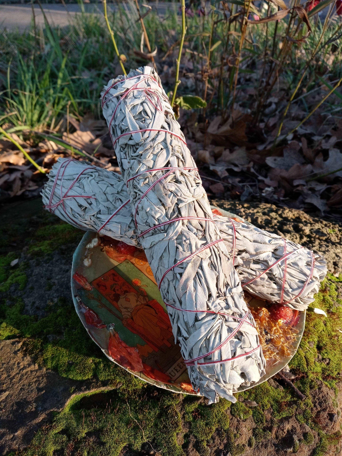 White Sage Bundles by Sage N Thangs